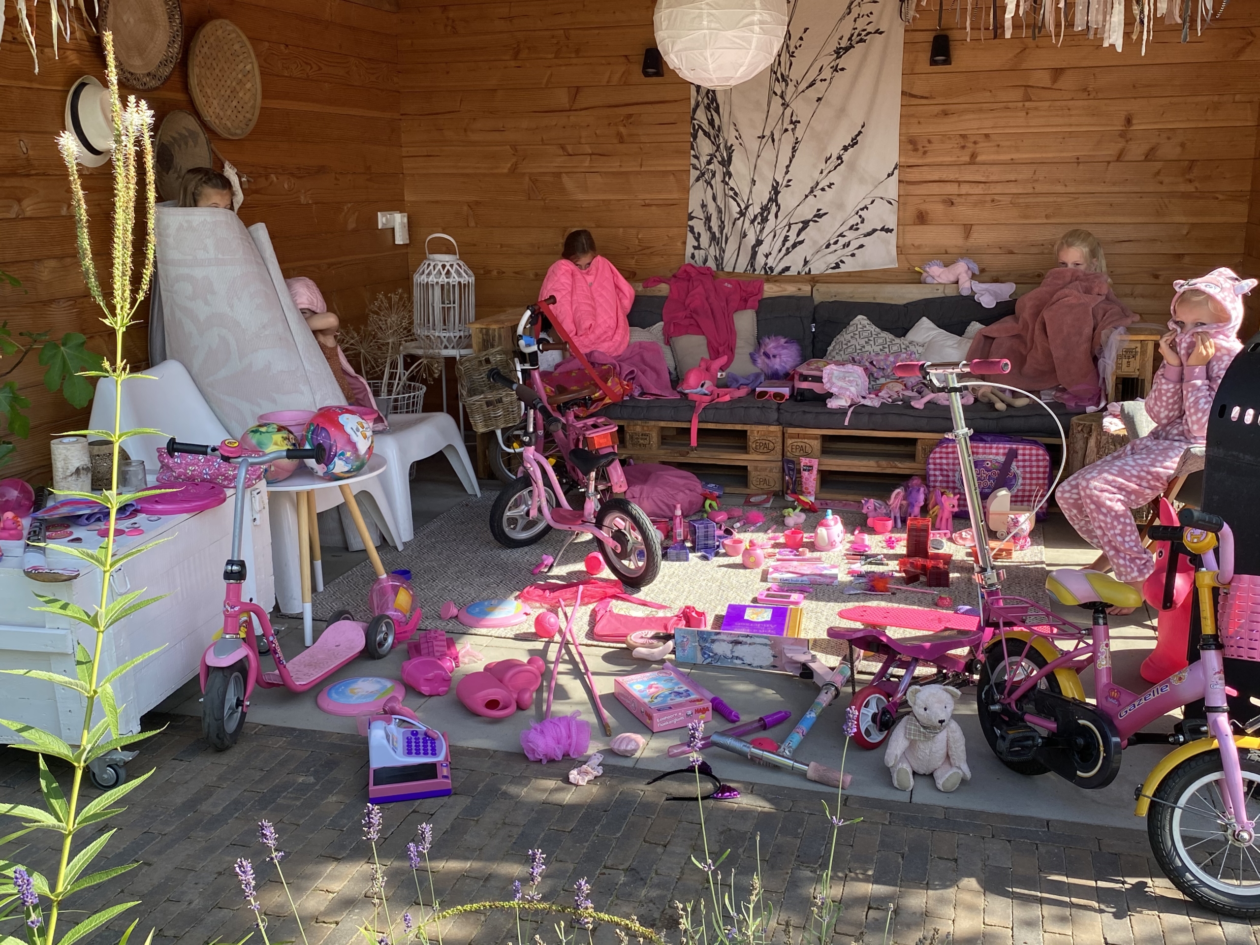 roze en paars challenge